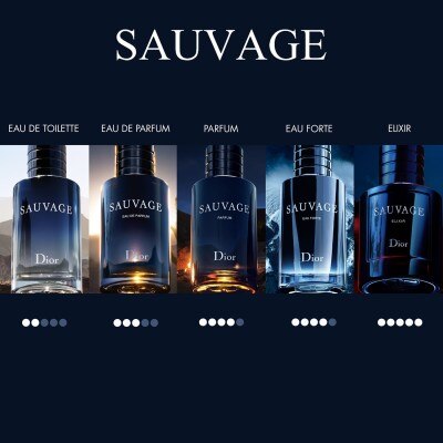 DIOR Sauvage Eau de Parfum 100ml fragrance collection display