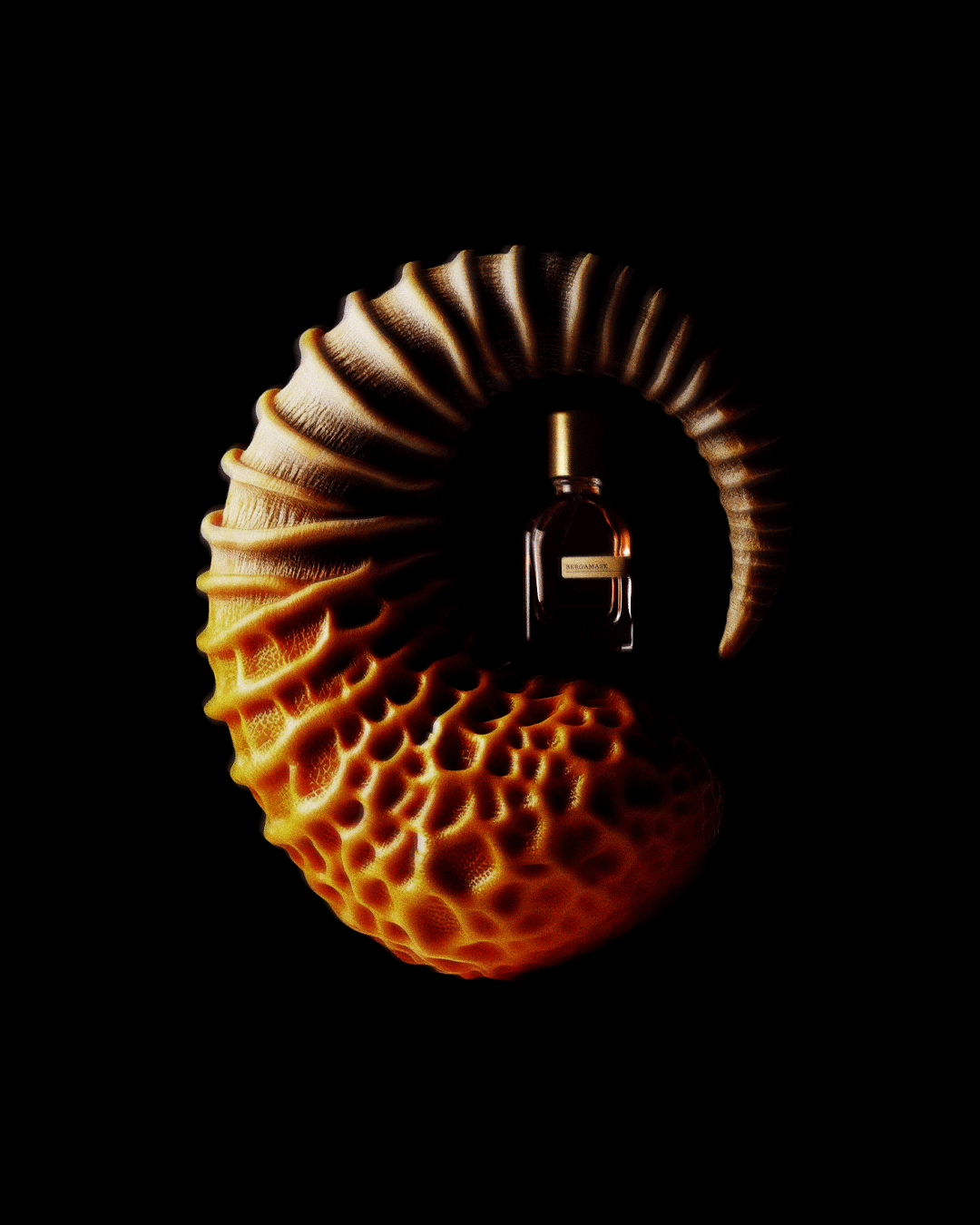BERGAMASK perfume extract in a decorative seashell.