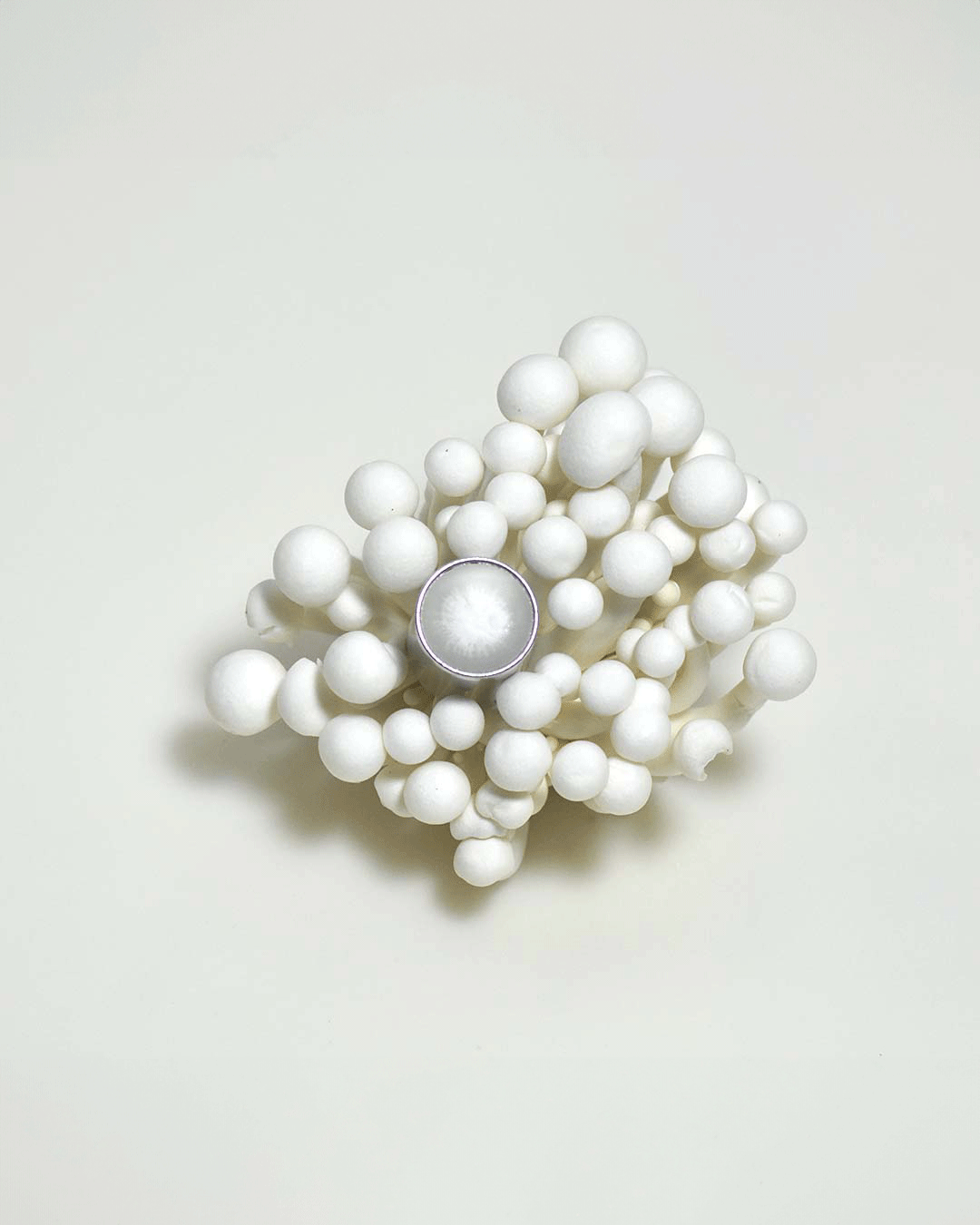 SEMINALIS fragrance bottle for olfactory attraction and hydration.
