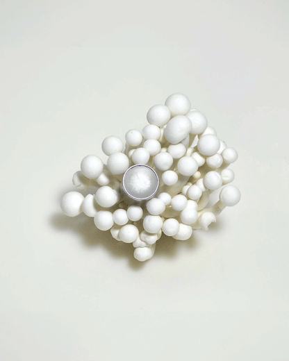 SEMINALIS fragrance bottle for olfactory attraction and hydration.