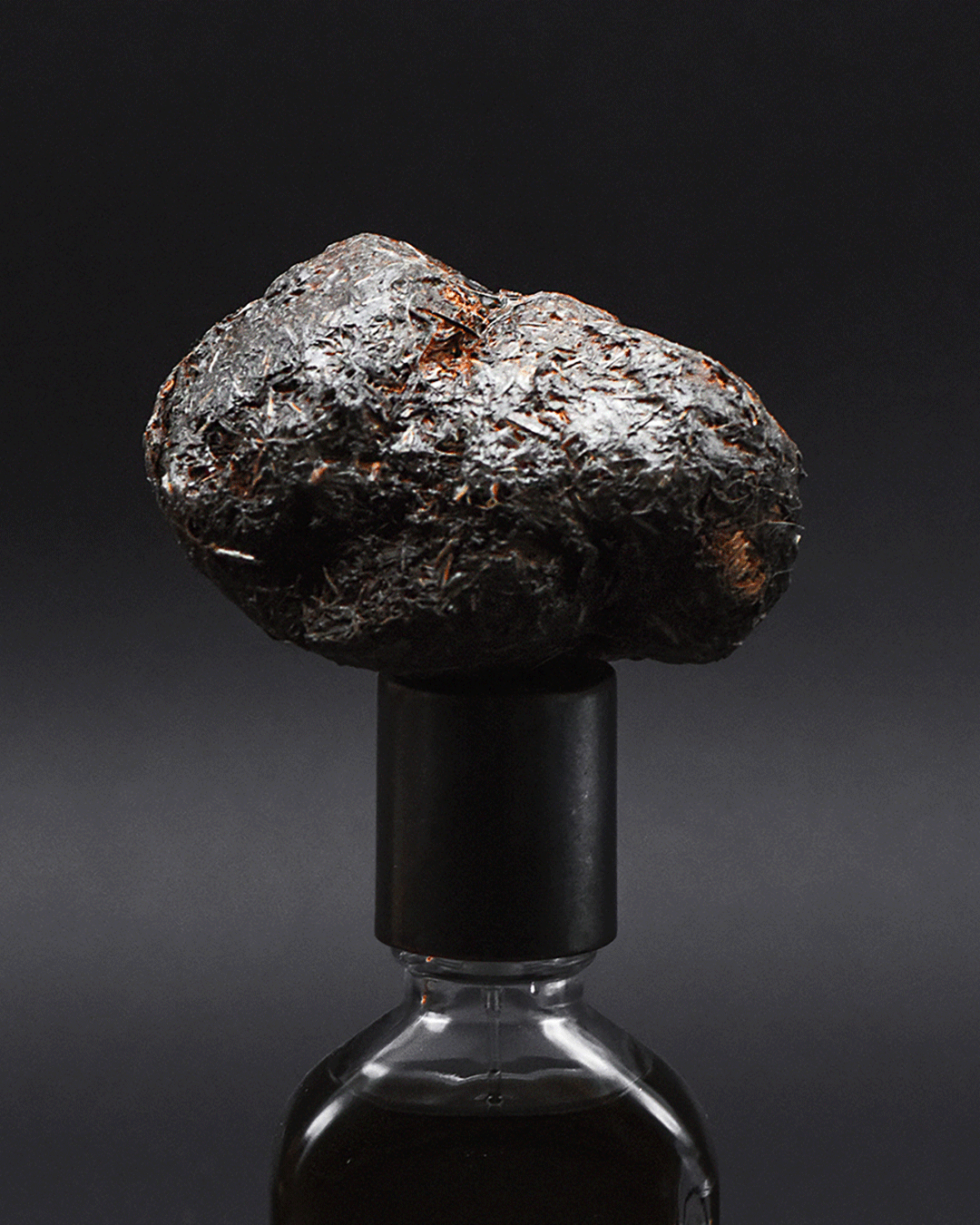STERCUS fragrance for glowing skin and natural hydration.