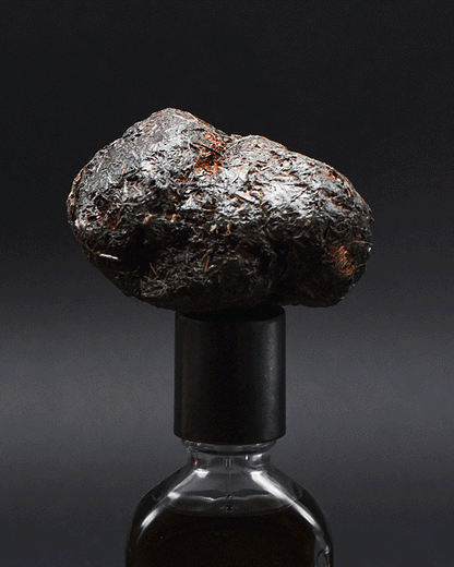 STERCUS fragrance for glowing skin and natural hydration.