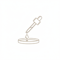 Testing & Refinement